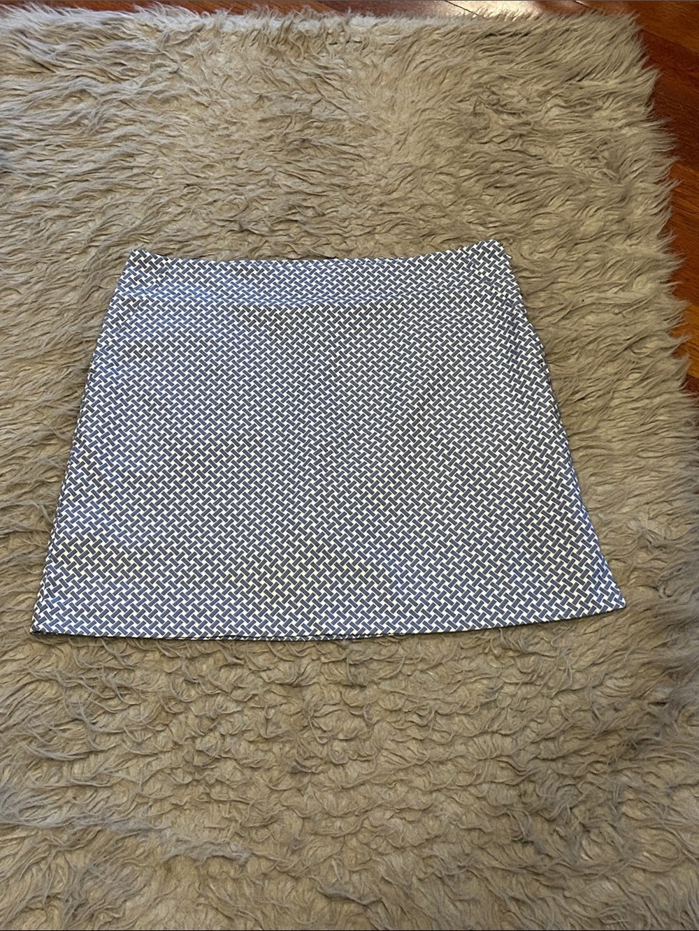 Cracked Wheat Women's Blue and White Patterned Mini Skort